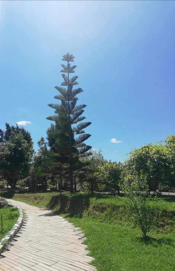 Posada Torre Del Milano Comillas Εξωτερικό φωτογραφία